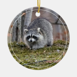 Raccoon Ceramic Ornament