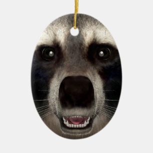 Raccoon Ceramic Ornament