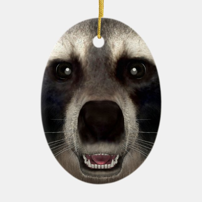 Raccoon Ceramic Ornament (Front)