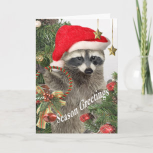 Raccoon Christma A Time For Fun Cards