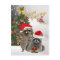 Raccoon Christmas A Time For Fun