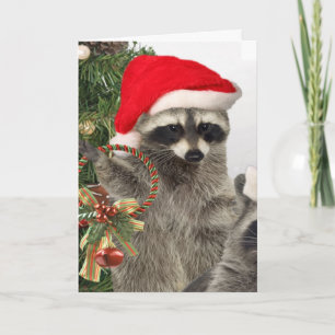 Raccoon Christmas Celebration Holiday Card