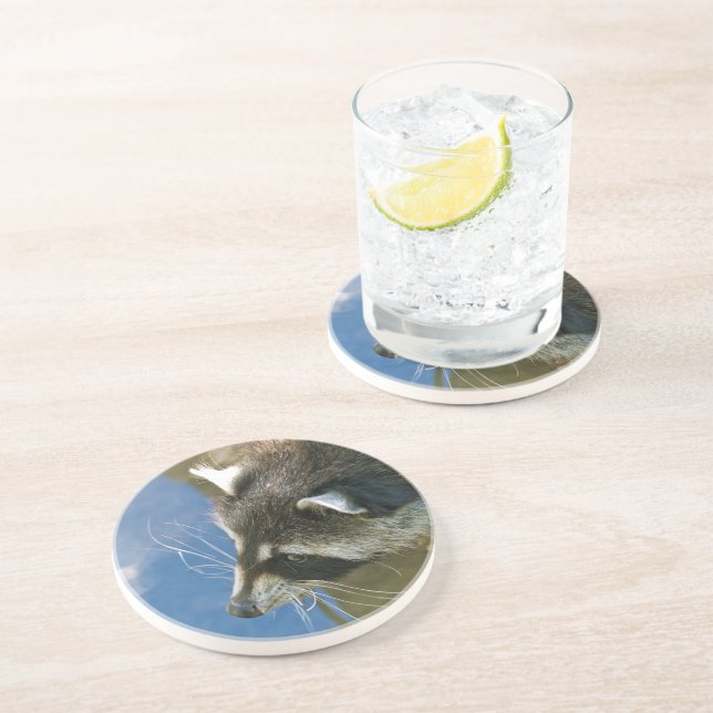 Raccoon Coaster (Side)
