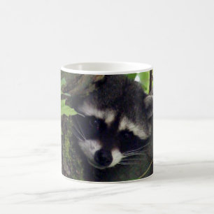 Raccoon Coffee Mug