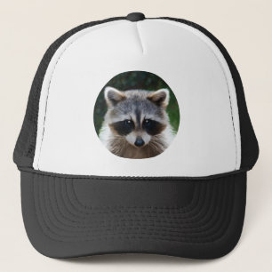 Raccoon Coon Wild Animals Wildlife Hat