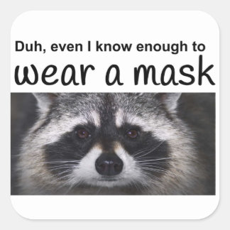 Raccoon Coroma Covid 19 Mouth Mask by Funntcomb Square Sticker