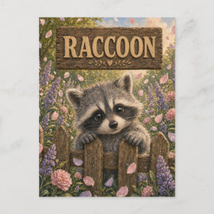 Raccoon Cute Baby Storybook Nursery Animal Postcard