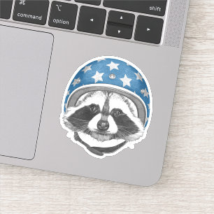 Raccoon Daredevil