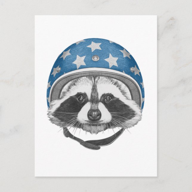 Raccoon Daredevil Postcard (Front)