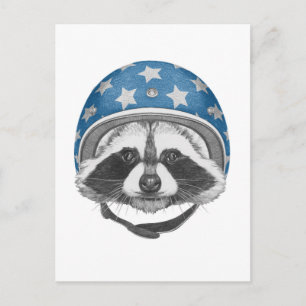 Raccoon Daredevil Postcard