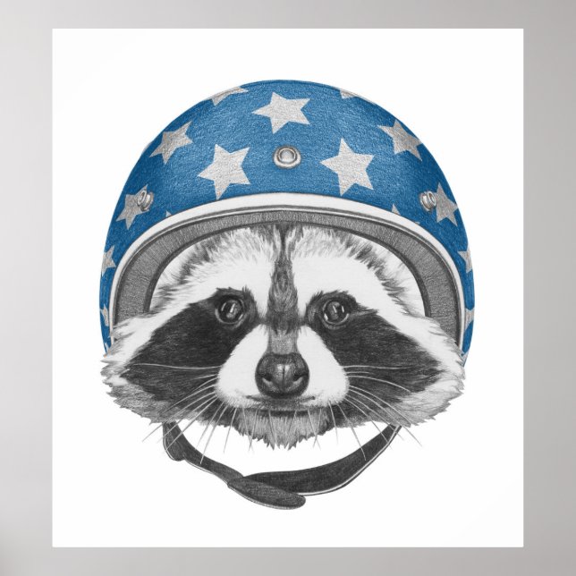 Raccoon Daredevil Poster (Front)