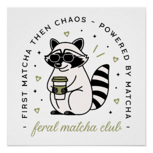Raccoon drinking matcha club funny kawaii animal poster