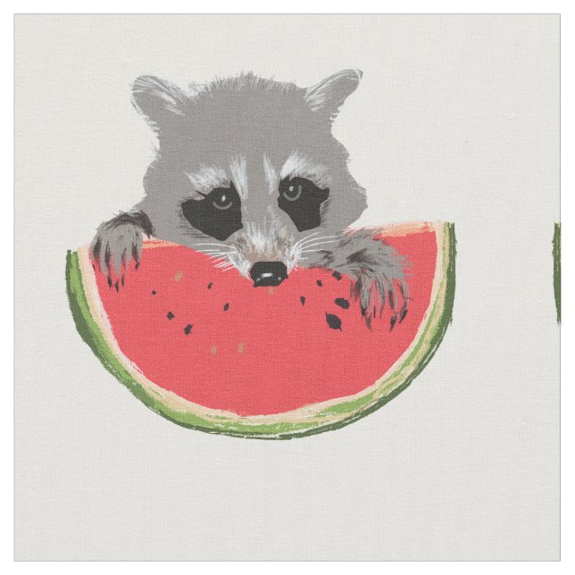 Raccoon eating  watermelon fabric (Close Up)