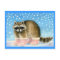 Raccoon en bottes roses carte postale