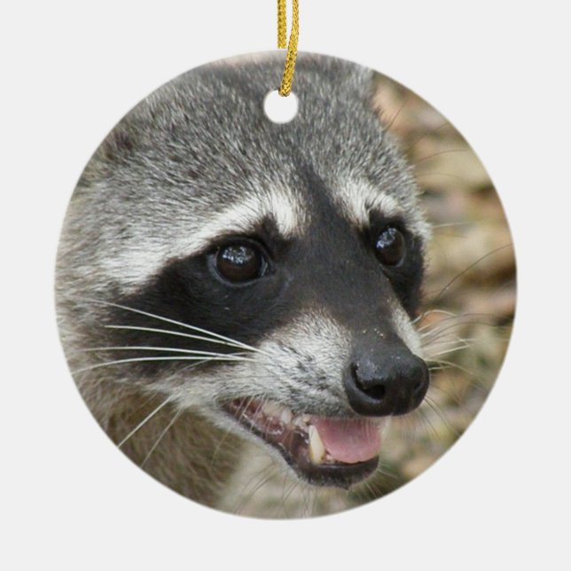 Raccoon Face Ornament (Front)