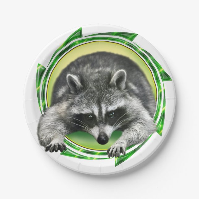 Raccoon Face Paper Plate (Front)