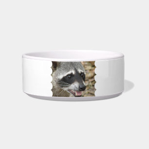 Raccoon Face Pet Bowl
