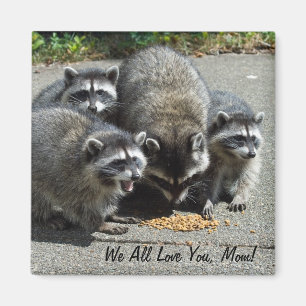 Raccoon Family Mom Magnet