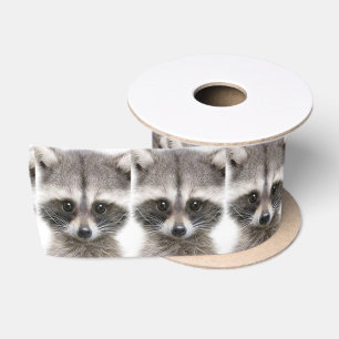 Raccoon Figure Ribbon Satin Ribbon
