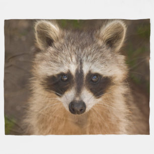 Raccoon Fleece Blanket
