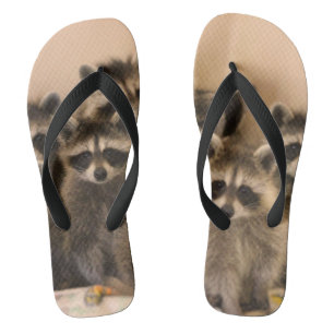 Raccoon flip flops. flip flops