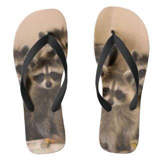 Raccoon flip flops. flip flops