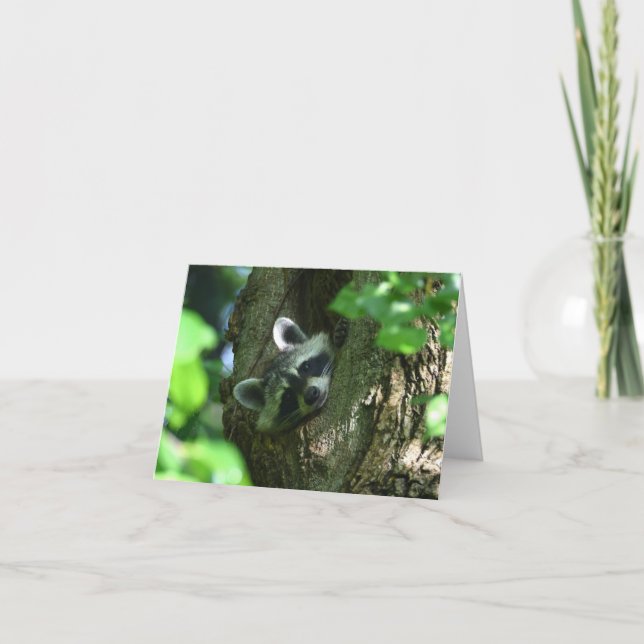 Raccoon Friendship Greeting Card (Front)