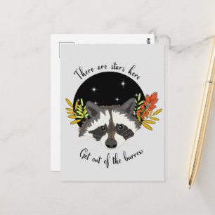 Raccoon. Get out of your hole!  Postcard