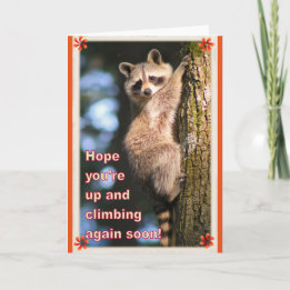Raccoon get well card. card