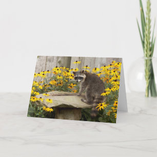 Raccoon Greeting Card