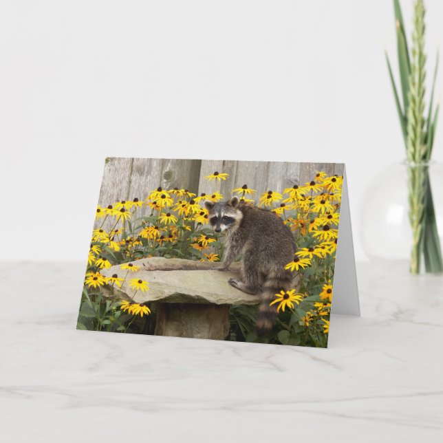 Raccoon Greeting Card (Front)