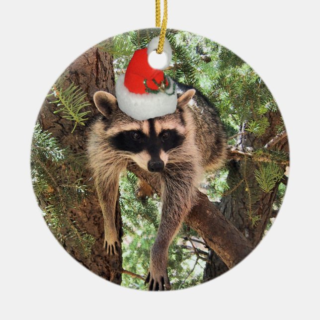 Raccoon hanging in a tree wearing a Santa hat. Ceramic Ornament (Front)
