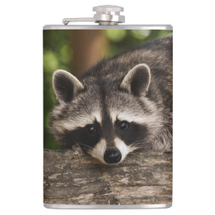 Raccoon Hip Flask