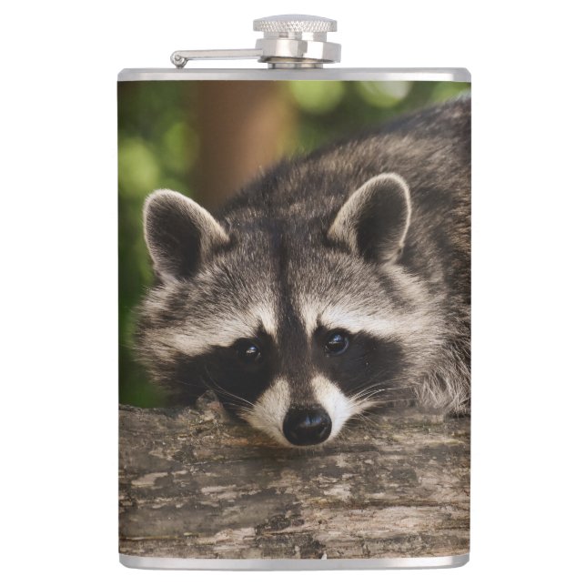 Raccoon Hip Flask (Front)