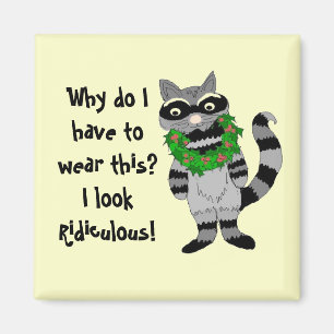 Raccoon Humour Magnet
