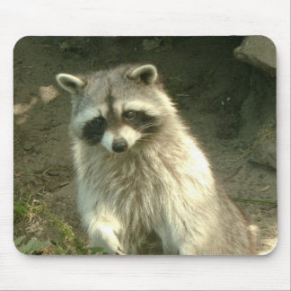 Raccoon I Mouse Pad