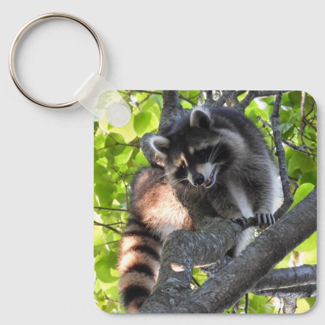 Raccoon in a Tree  Keychain (Front)