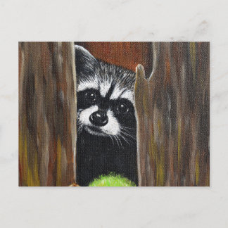 Raccoon in a Tree Painting Postcard