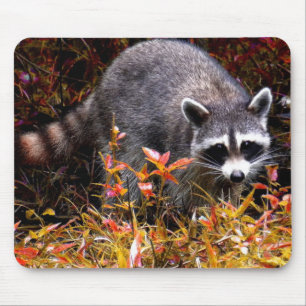 RACCOON IN AUTUMN MOUSE PAD