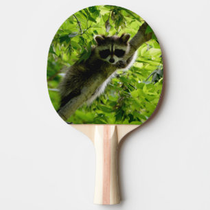 Raccoon in Green Tree Cute gray masked raccoon Ping Pong Paddle