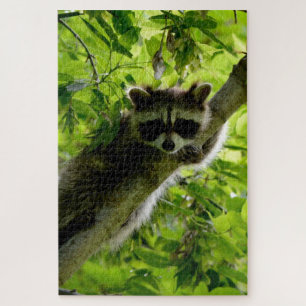 Raccoon in Green Tree Cute grey masked raccoon Jigsaw Puzzle