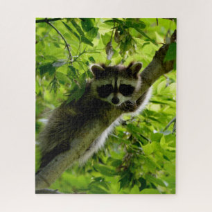 Raccoon in Green Tree Cute grey masked raccoon Jigsaw Puzzle