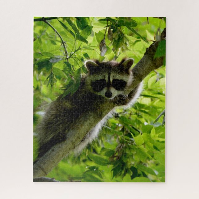 Raccoon in Green Tree Cute grey masked raccoon Jigsaw Puzzle (Vertical)