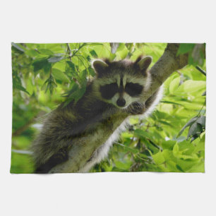 Raccoon in Green Tree Cute grey masked raccoon Kitchen Towel