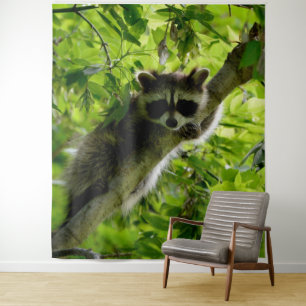 Raccoon in Green Tree Cute grey masked raccoon Tapestry