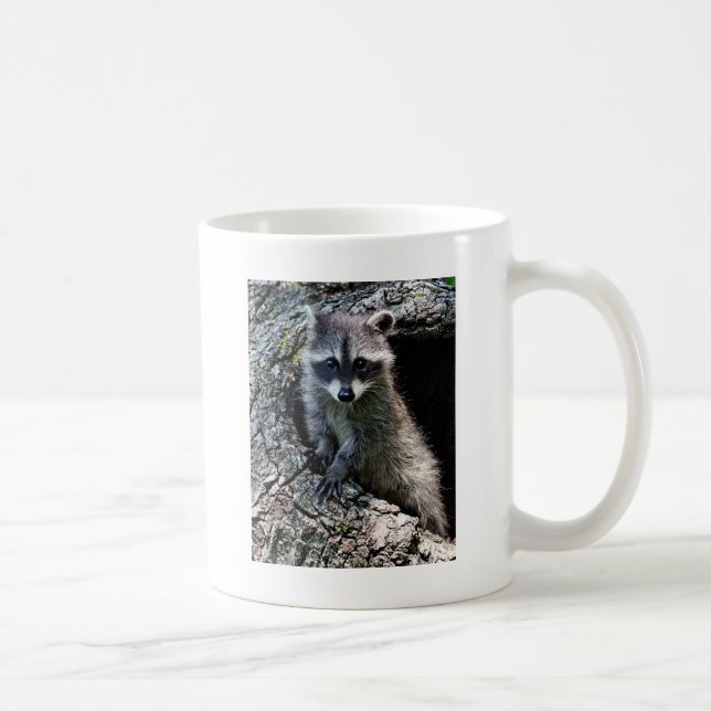 Raccoon in the Den Coffee Mug (Right)
