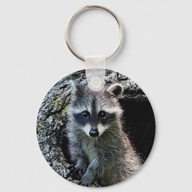 Raccoon in the Den Keychain (Front)