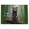Raccoon in the Forest