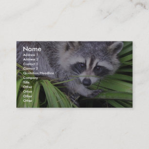 Raccoon In The Plants Business Card