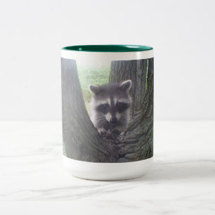 Raccoon in Tree Two-Tone Coffee Mug